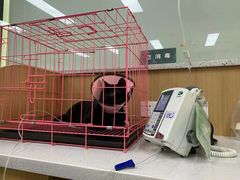 -联合动物医院(光谷诊疗中心)