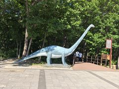 -茅兰沟国家森林公园