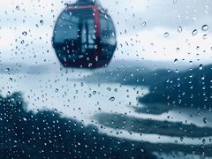 -金盆阿嬷香菇茶叶蛋(玄光店)