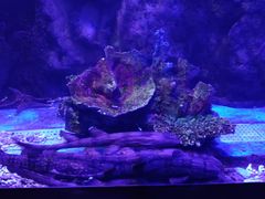 -太平洋海底世界