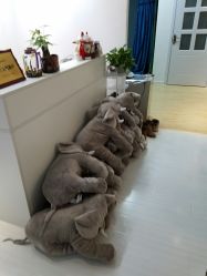 -首尔宝宝SEOUL  BABY STUDIO(通州店)