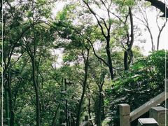 -狼山风景名胜区