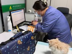 -半岛宠物医院24小时(科华中路店)