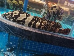 -百富源·海鲜辽菜(张士店)