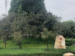 -映月湖公园