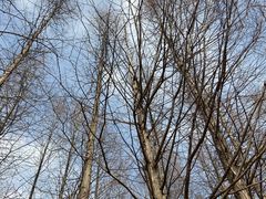 -梁鸿国家湿地公园