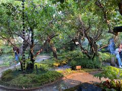 -Chom Cafe and Restaurant