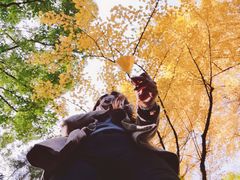 -华山医院-食堂