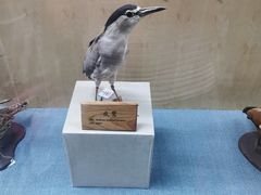 -陕西自然博物馆