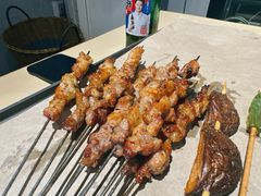 -来自葫芦岛的葫芦娃全碳烧烤