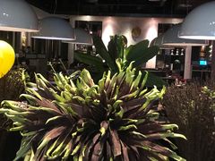 -半秋山西餐厅(巴南万达广场店)