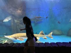 -多彩贵州城极地海洋世界