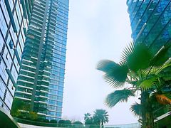 -棕榈MALL
