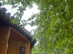 -春风习习