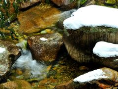 -祁门牯牛降观音堂风景区