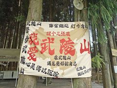 -武陵山森林公园