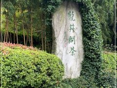 -十八棵（老龙井）御茶园(老龙井店)