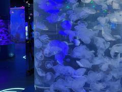 -重庆欢乐海底世界