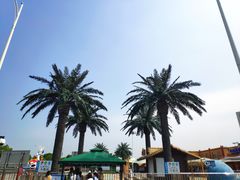 -上海玛雅海滩水公园