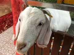 -上海大自然野生昆虫馆(东方明珠·爬宠昆虫探索中心)