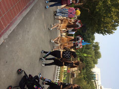 iphone_upload_pic-富华游乐园
