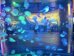 -华夏文旅西安度假区