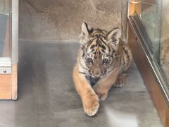 -大连森林动物园