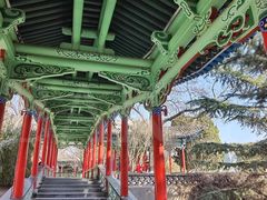 -白塔山公园