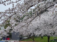 -苏州上方山国家森林公园
