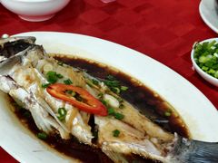 -先鲜鲫鱼粥