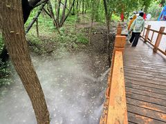 -帽儿山风景区