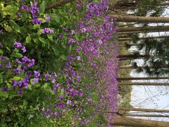 怡沁园度假村-上海怡沁园度假酒店