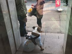 -小樽八音盒堂(手工制作体验馆店)