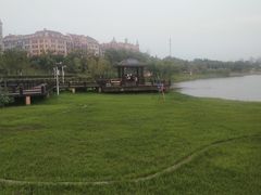 -九龙湖公园