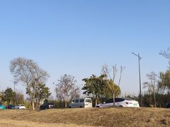 -漕湖湿地公园