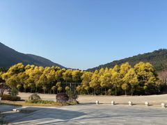 -福清灵石山国家森林公园