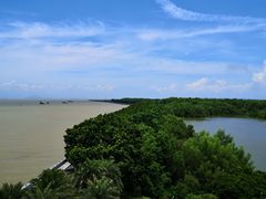 -大湾区中央湿地公园