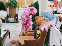 -天天渔港(杏林街店)