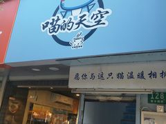 门面-喵的天空名猫咖啡馆·撸猫·猫舍·用品