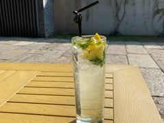 -两棵枇杷树