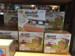 -猫咪博物馆(顶澳仔猫街店)