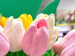 -KKV(深圳宏发大仟里店)