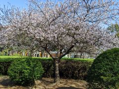 -白塘生态植物园
