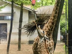 -杭州野生动物世界