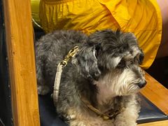 -小俩口烧烤东北菜(双井店)