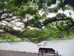 -江心屿景区