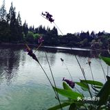 小草说，只要心向阳光，迎着夕阳，尽情欢笑