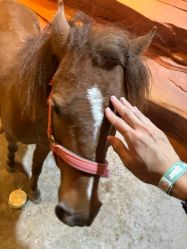 -酷嗒动物文化乐园(cutezoo西溪乐天城店)