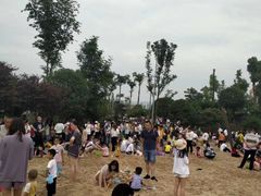 -枫香湖儿童公园