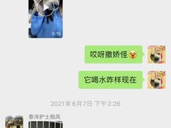 -泰洋动物医院·神经专科·磁共振·CT(天河公园总院)